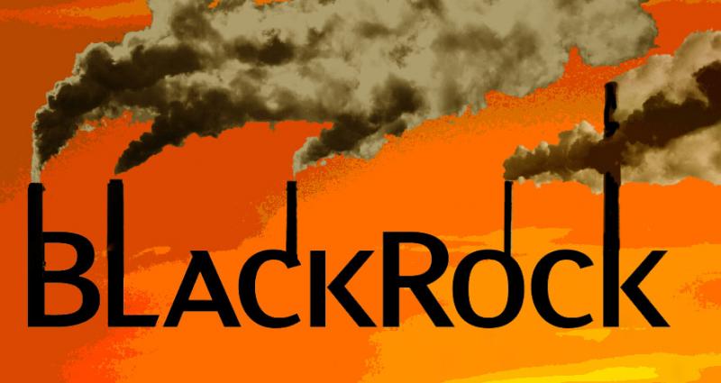BlackRock the fossil investor