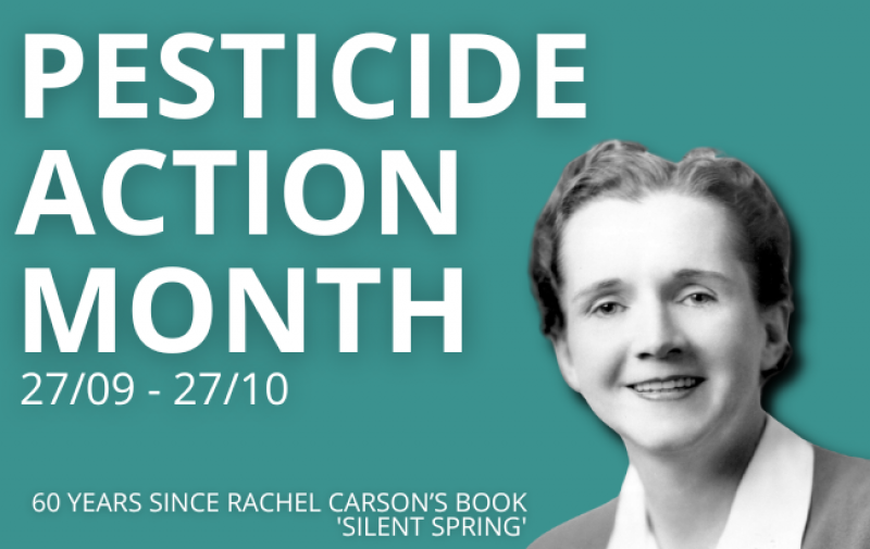 Image of Rachel Carson on a green background and the words: pesticide action month 27/09-27/10 60 years since Rachel Carson’s book 'Silent Spring'
